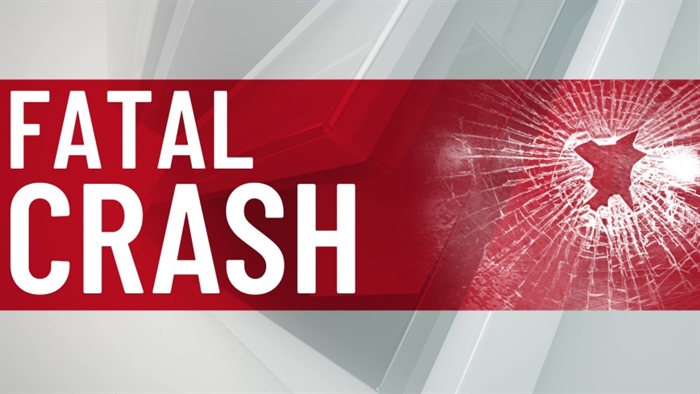 Fernando Lomeli Jose Luis Jr. Lomeli Killed in Head-on Crash