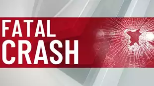 Fernando Lomeli Jose Luis Jr. Lomeli Killed in Head-on Crash
