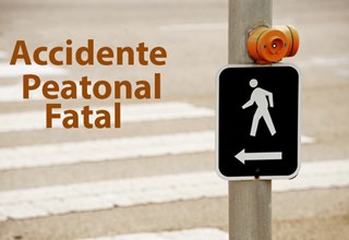 Colisión grave auto-peatonal el 30 de noviembre; César Ortega Arteaga muerto en accidente