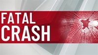 Fernando Lomeli Jose Luis Jr. Lomeli Killed in Head-on Crash